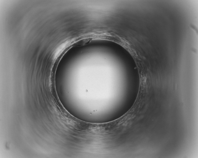 X0000100910340200807011249