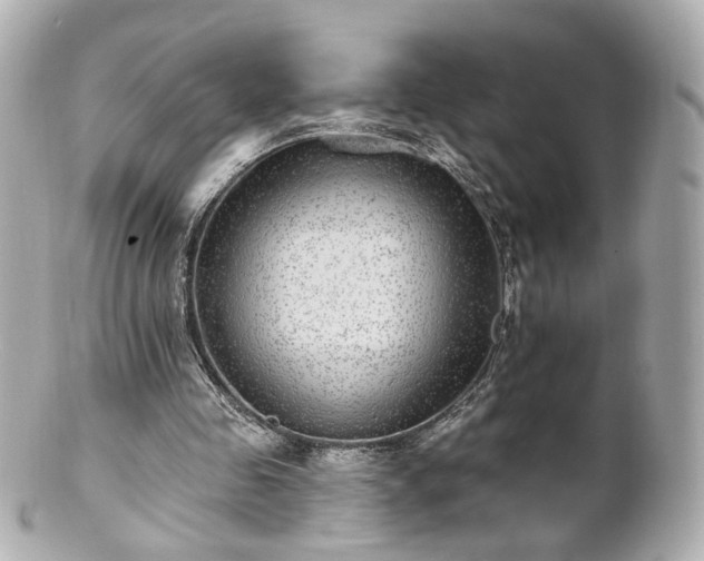 X0000100910341200807011249