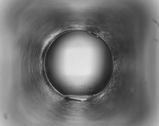 X0000100910342200807011249
