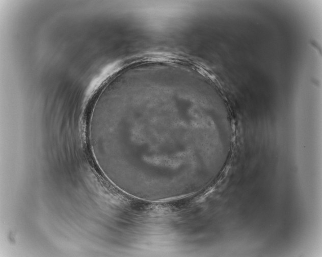 X0000100910343200807011249