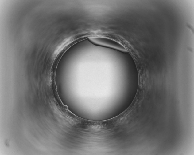 X0000100910344200807011249