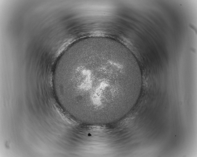 X0000100910347200807011249