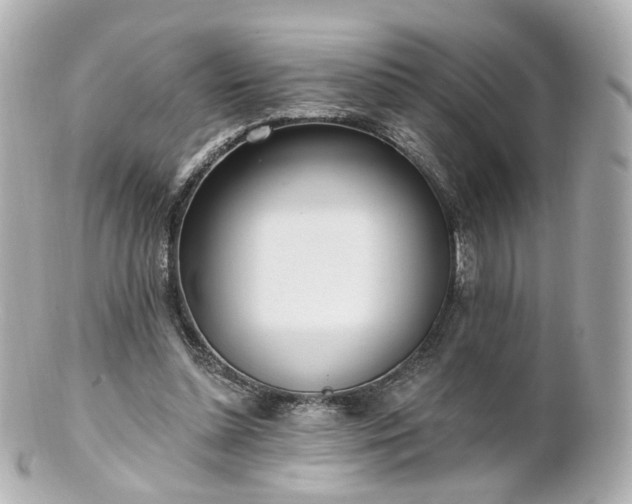 X0000100910348200807011249