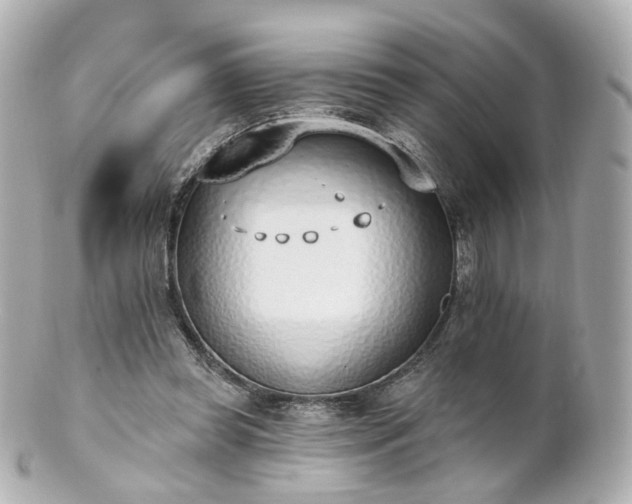X0000100910349200807011249