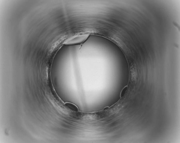 X0000100910350200807011249