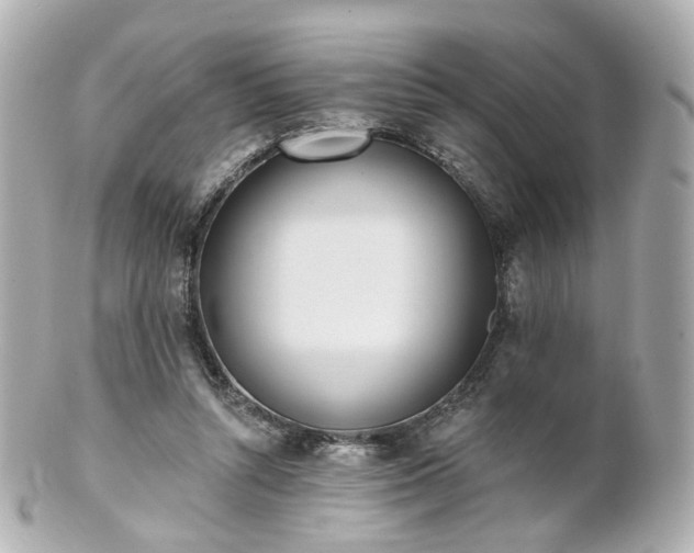 X0000100910352200807011249