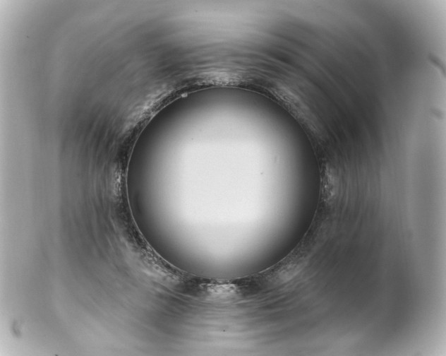 X0000100910355200807011249