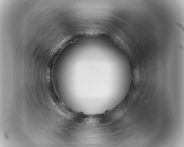X0000100910356200807011249