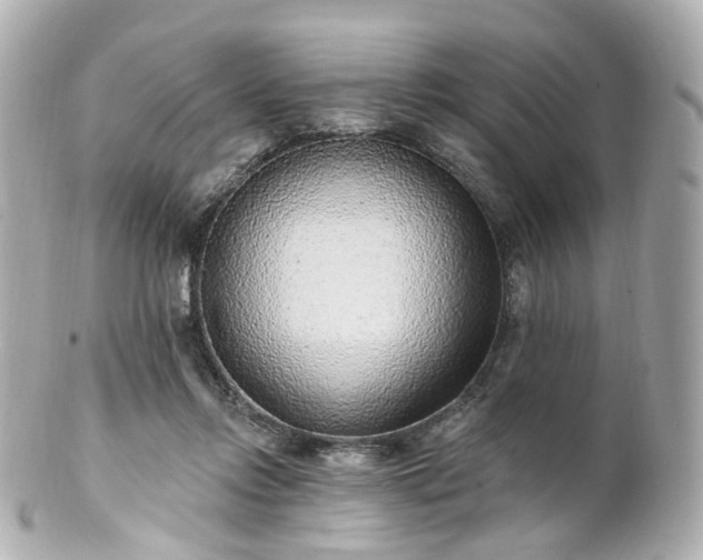 X0000100910358200807011249