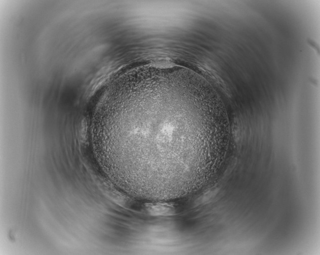 X0000100910359200807011249