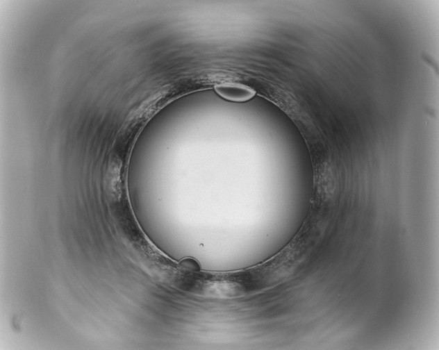 X0000100910360200807011249