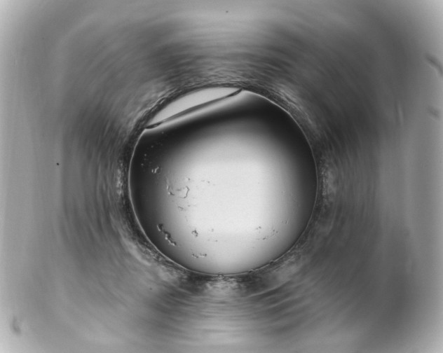 X0000100910362200807011249