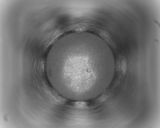 X0000100910363200807011249