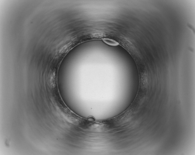 X0000100910364200807011249