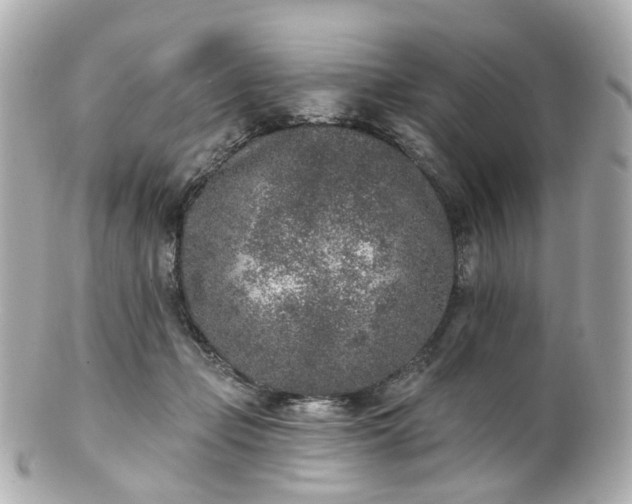 X0000100910365200807011249