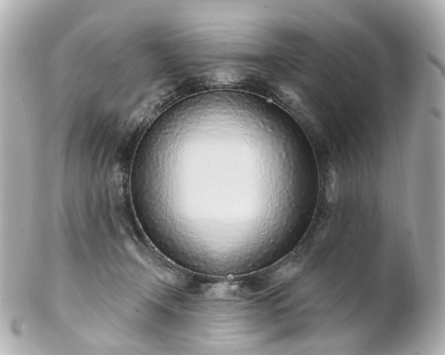 X0000100910366200807011249