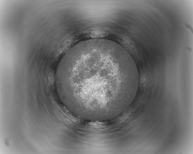 X0000100910367200807011249