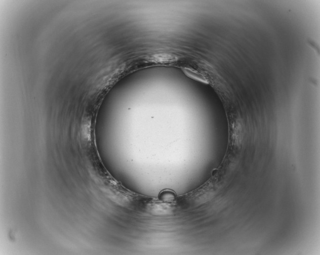 X0000100910368200807011249