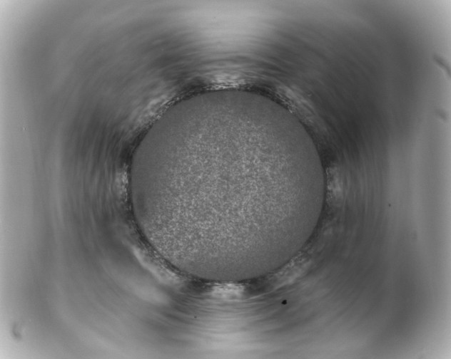 X0000100910369200807011249