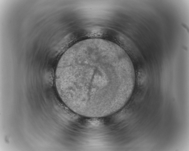 X0000100910370200807011249