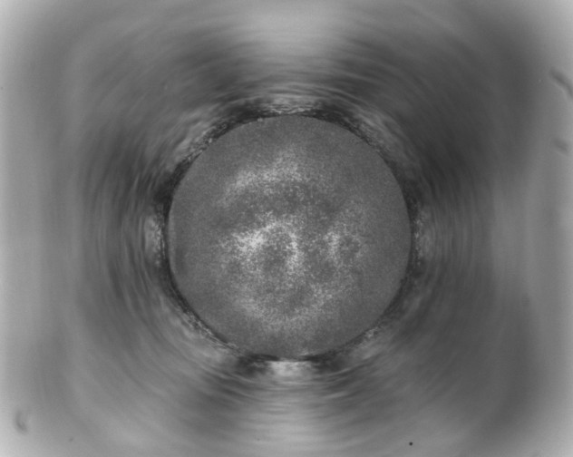 X0000100910371200807011249