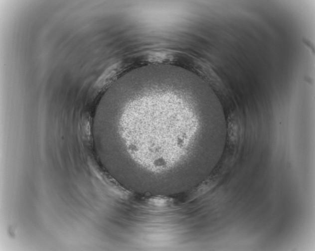 X0000100910375200807011249