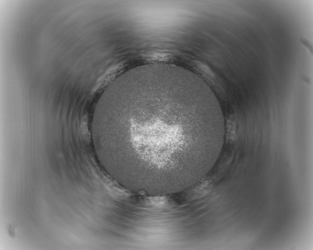 X0000100910377200807011249