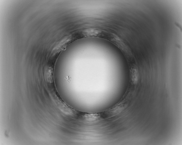 X0000100910378200807011249