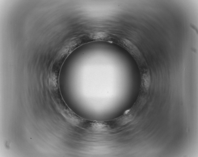 X0000100910380200807011249