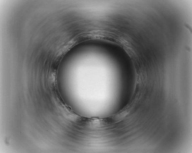X0000100910382200807011249