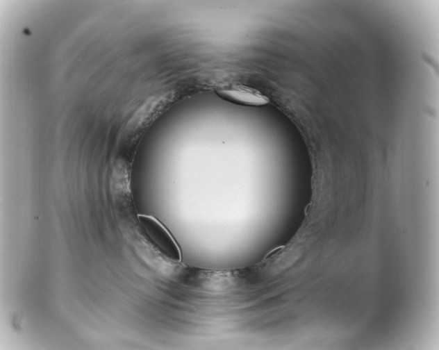 X0000100910384200807011249