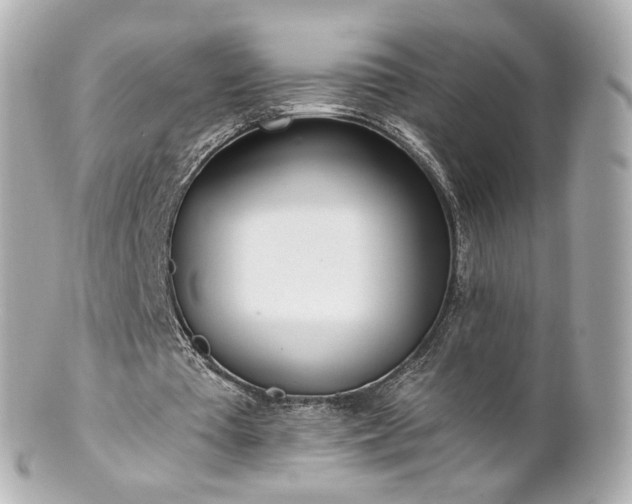 X0000100910385200807011248