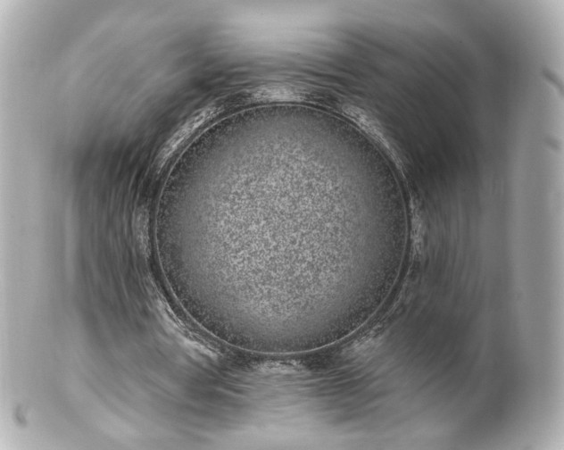 X0000100910386200807011248