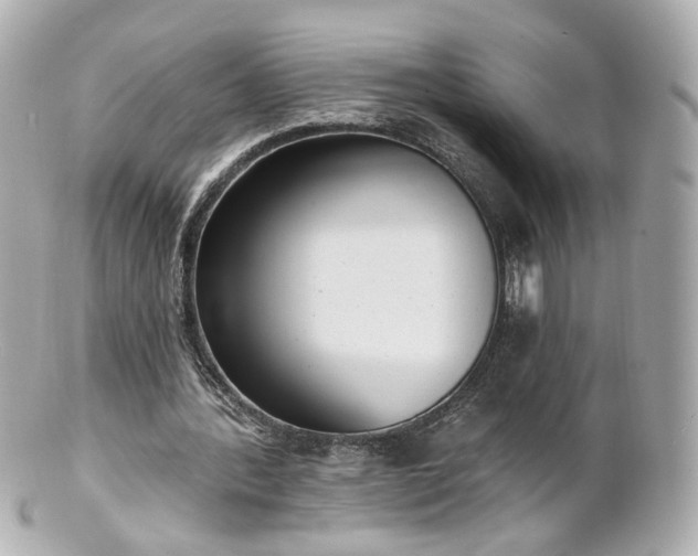 X0000100910388200807011248