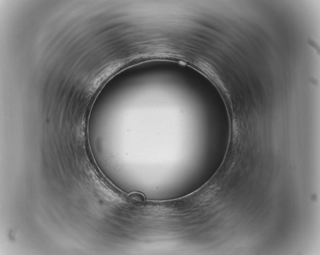 X0000100910389200807011248