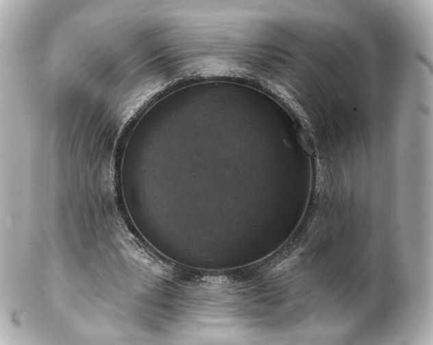 X0000100910391200807011248