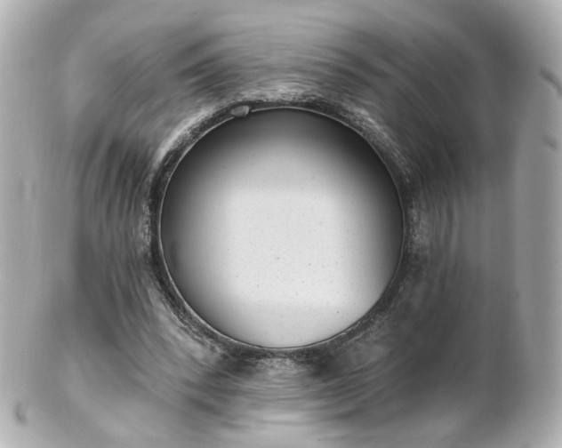 X0000100910392200807011248