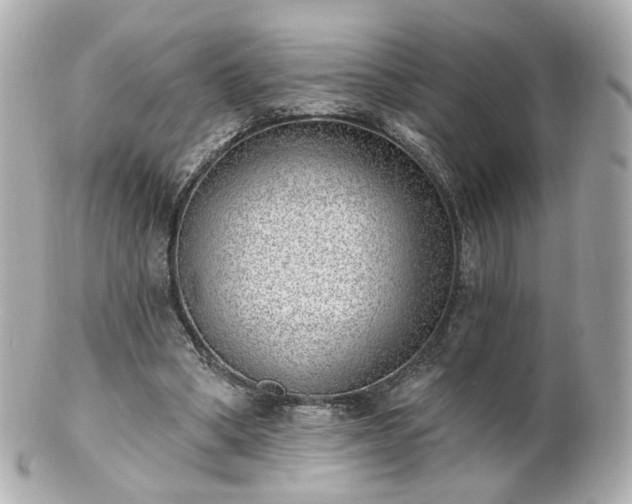 X0000100910394200807011248