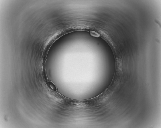 X0000100910395200807011248