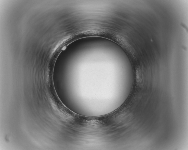 X0000100910396200807011248