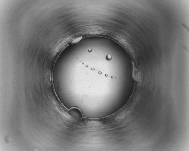X0000100910397200807011248