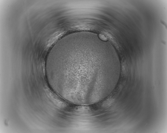 X0000100910398200807011248