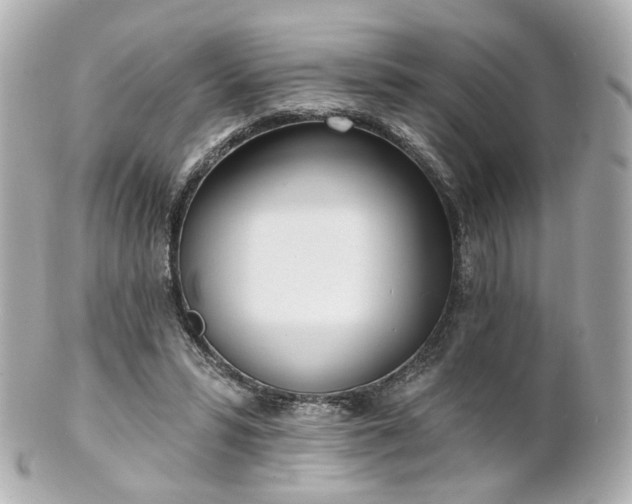 X0000100910399200807011248