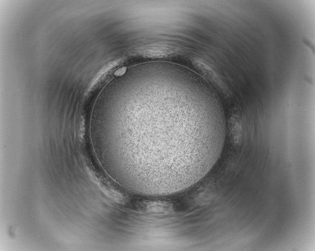 X0000100910400200807011248