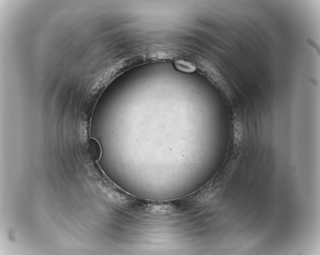 X0000100910401200807011248