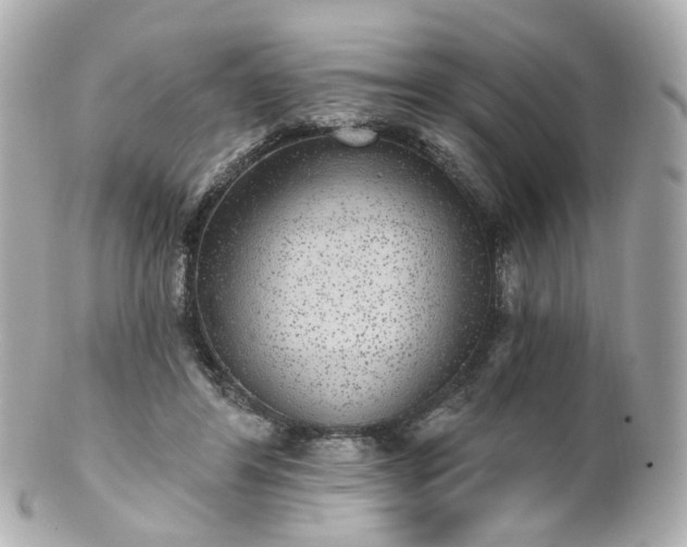 X0000100910404200807011248