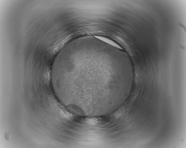X0000100910405200807011248