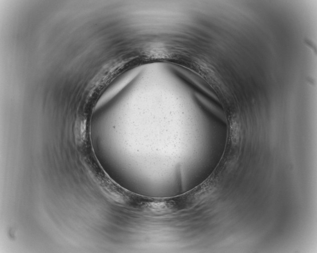 X0000100910406200807011248