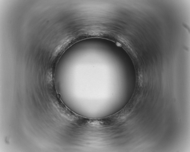 X0000100910407200807011248