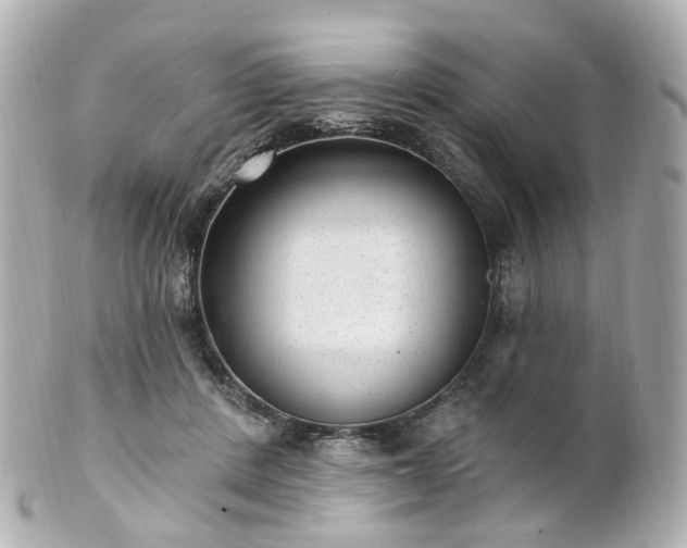 X0000100910408200807011248